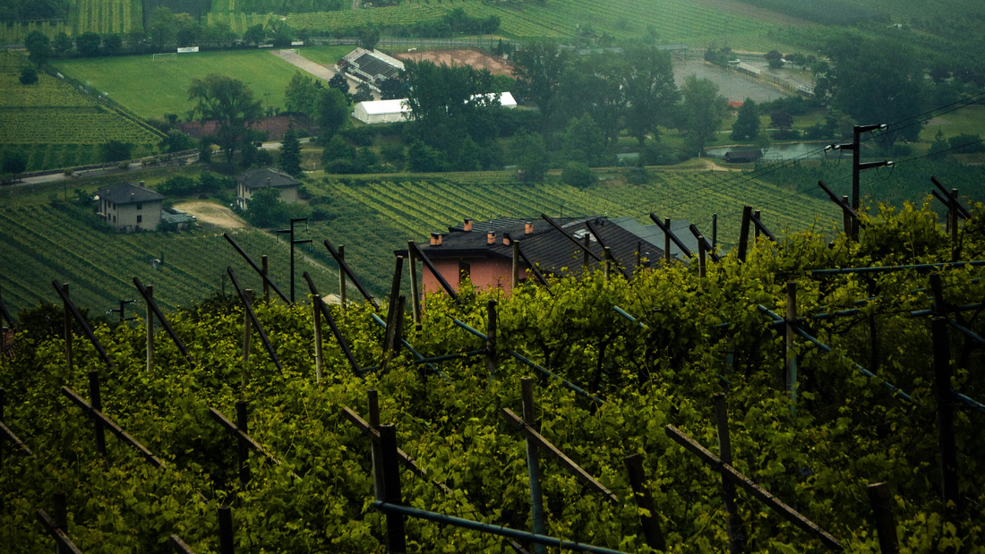 RigeneraDermo e i suoi prodotti green
