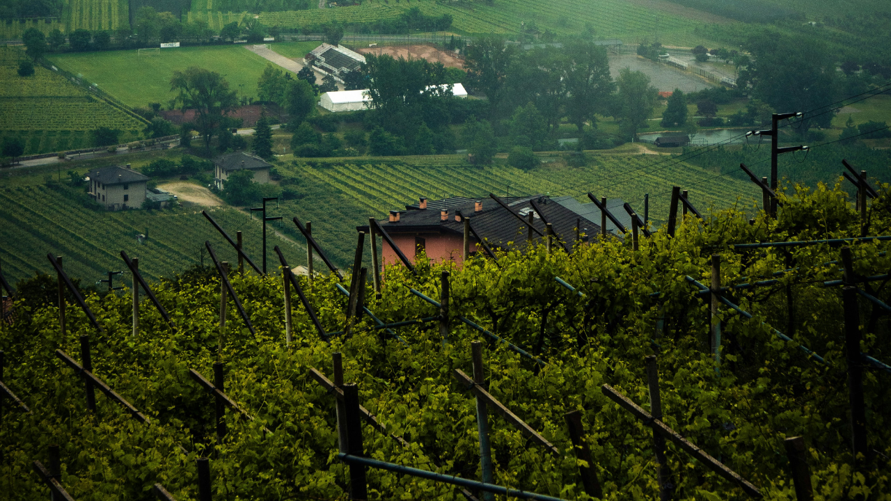 RigeneraDermo e i suoi prodotti green