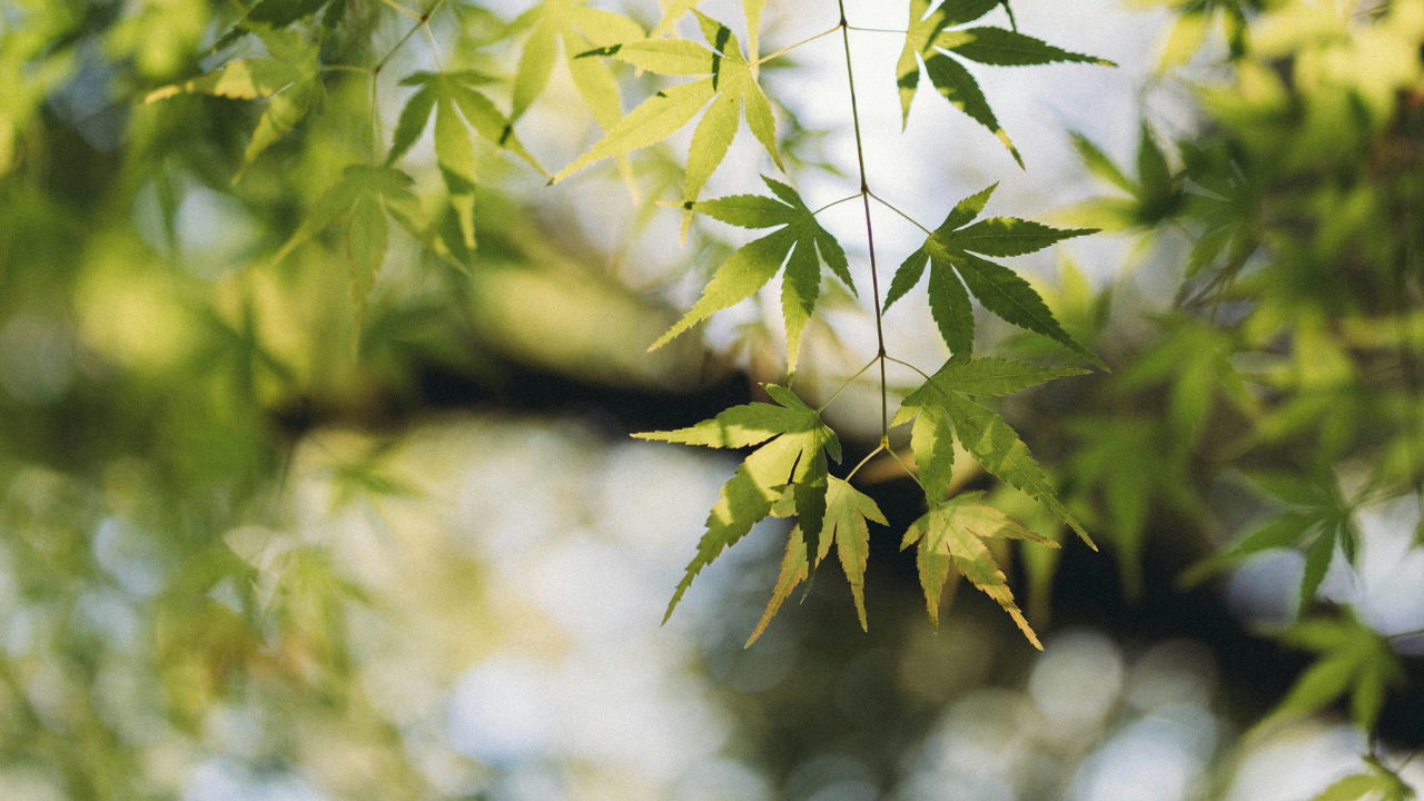 La bellezza green vive di natura